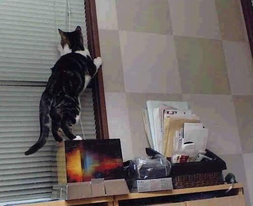 CBA联赛吸引更多企业关注篮球商业潜力，cba球队盈利模式