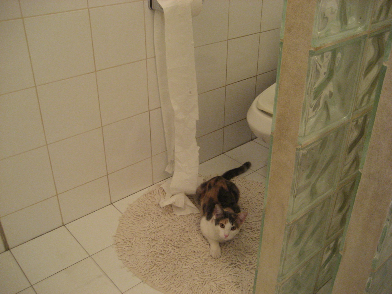 体育新闻中心主办数字体育传播创新奖评选活动，体育产业数字化创新