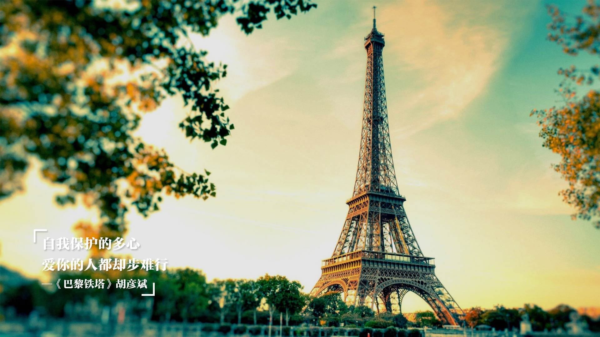 世界杯期间新媒体的传播效果，新媒体体育赛事传播案例