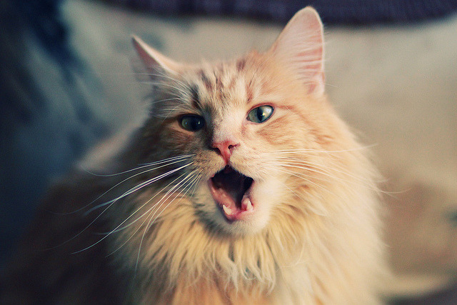 多支球队同分进入收官战每场比赛都关乎最终排名走势，各支球队